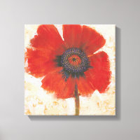 Red Poppy Portrait