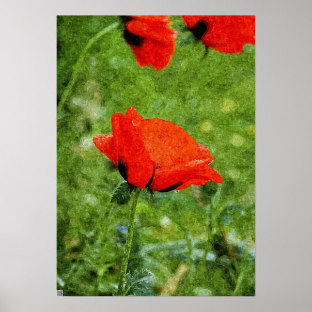 Red Poppy Poster (Front)