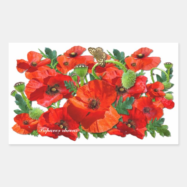 RED POPPY  ~  Rectangle  Stickers (Front)