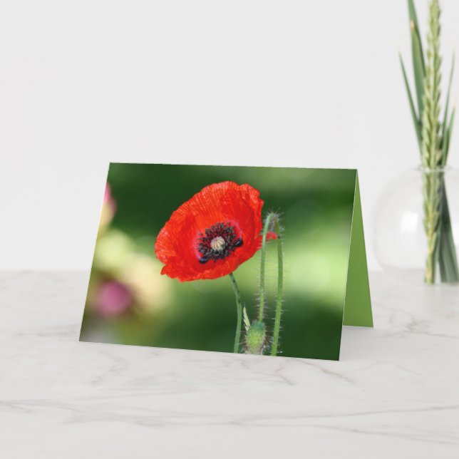 Red Poppy Seed Greeting Card (Front)