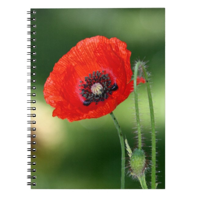 Red Poppy Seed Photo Notebook (Front)