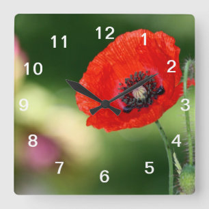 Red Poppy Seed Wall Clock