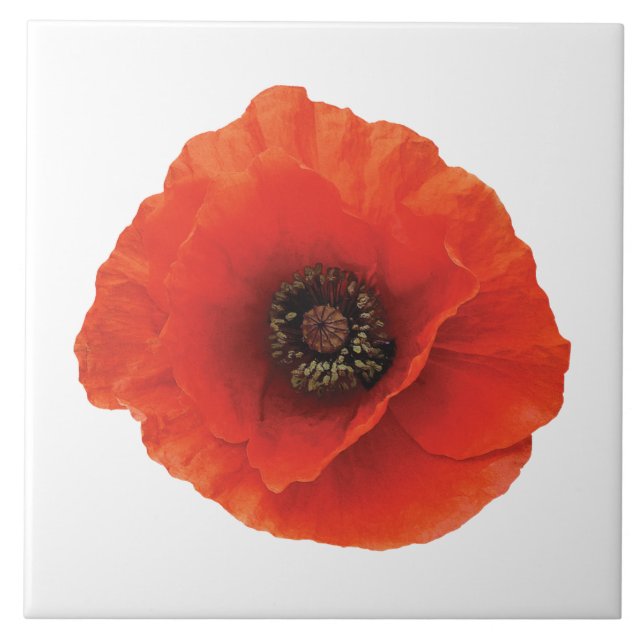 Red Poppy Tile (Front)