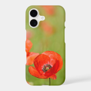 Red poppy with a green background