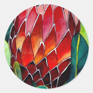 Red Protea flower original watercolour art Classic Round Sticker