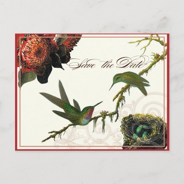 Red Protea Hummingbirds - Save the Date Postcard (Front)