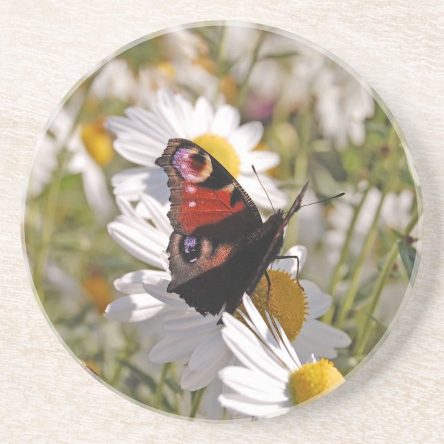 Red Purple Black Butterfly on Daisies Coaster (Front)