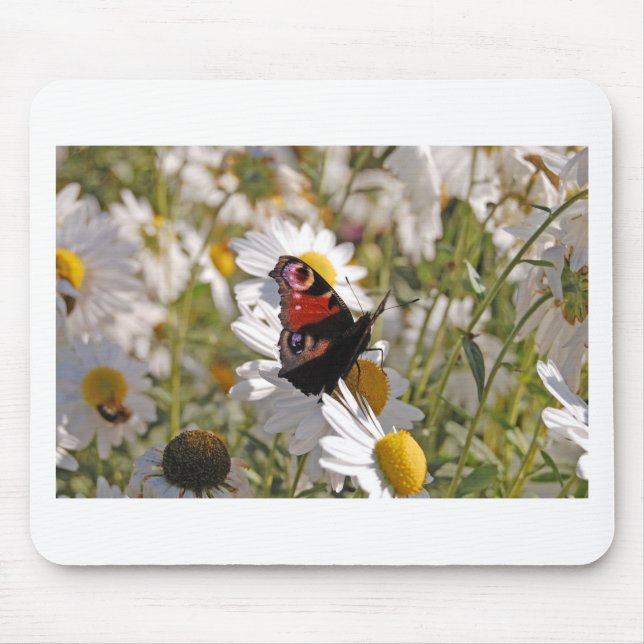 Red Purple Black Butterfly on Daisies Mouse Pad (Front)