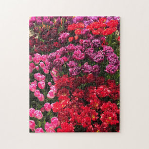 Red, Purple & Pink Tulip Garden Bed, Oregon Jigsaw Puzzle