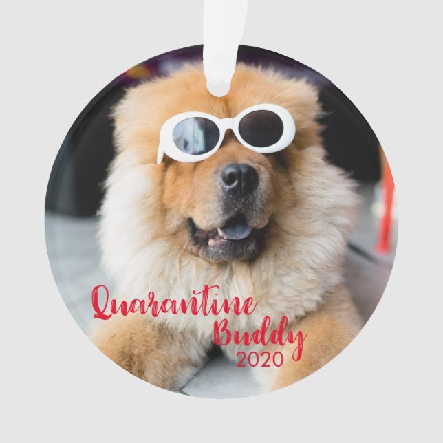 Red Quarantine Buddy Dog Photo Christmas Ornament (Front)