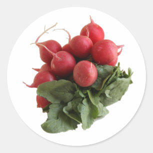 Red radish bunch with green leaves classic round sticker