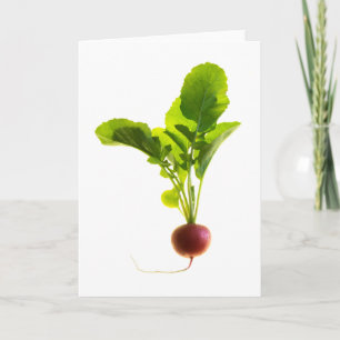 Red Radish Card
