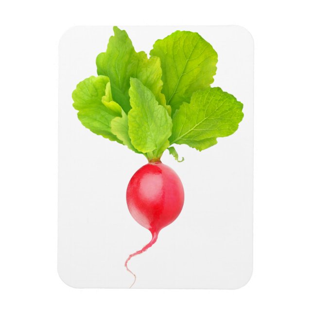 Red radish magnet (Vertical)