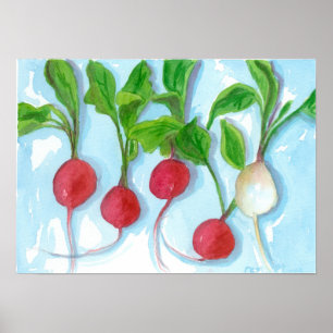 Red Radishes Garden Vegetable Watercolor Art Poster