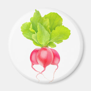 Red radishes magnet