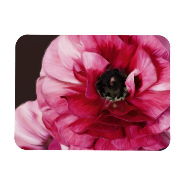 Red Ranunculus Magnet (Horizontal)