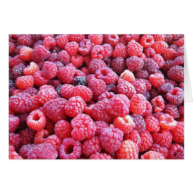 Red Raspberries ~ Fresh Produce Series (Front Horizontal)