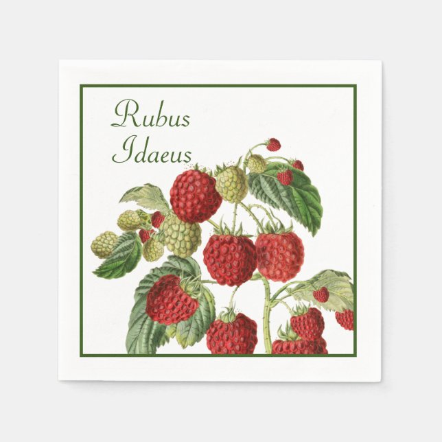 Red Raspberry Stems Napkin (Front)