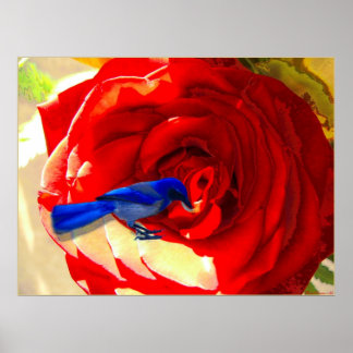 Red Red Rose and the Blue Blue Bird Poster