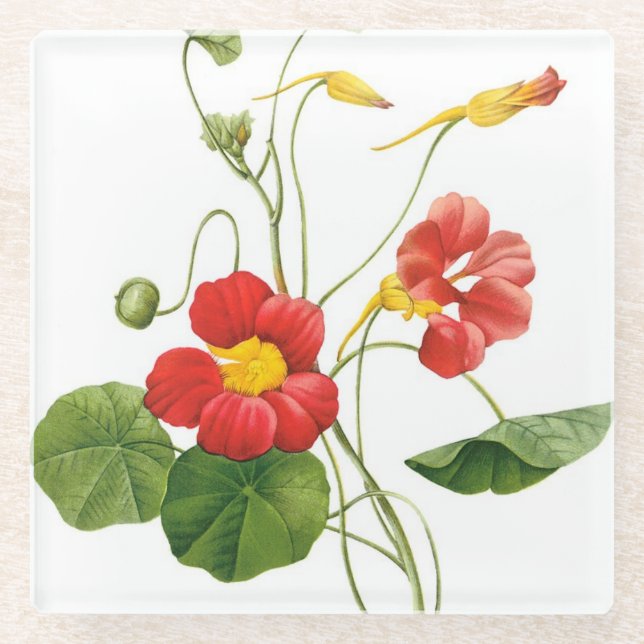 Red Redoute Flowers Glass Coaster (Front)