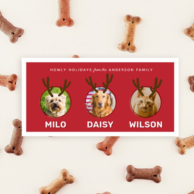 Red Reinpet 3 Photo Pet Christmas Holiday Card (red three photo funny pet Christmas holiday card with antlers and custom message on the back)