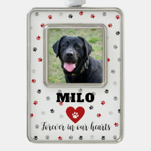 Red Remembrance Pet Loss Dog Photo Ornament