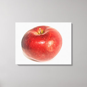 Red Ripe Apple Illustrated Art Canvas Print