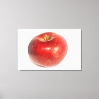Red Ripe Apple Illustrated Art