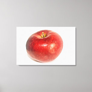 Red Ripe Apple Illustrated Art Canvas Print