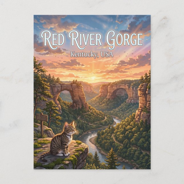 Red River Gorge Geological Area USA Postcard (Front)