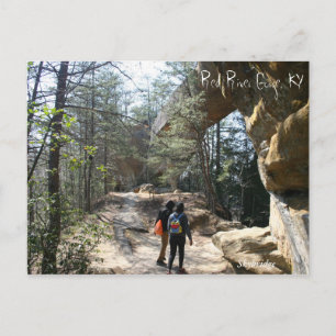 Red River Gorge, KY - Skybridge postcard