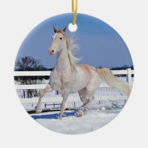 Red Roan in Snow