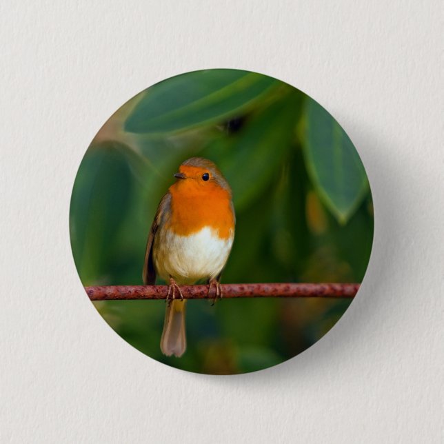 Red ROBIN 6 Cm Round Badge (Front)
