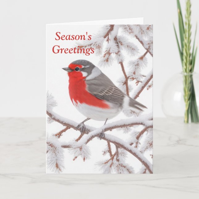 Red Robin Bird in Snow Holiday Card (Front)