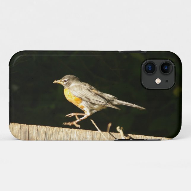 Red Robin Case-Mate iPhone Case (Back (Horizontal))