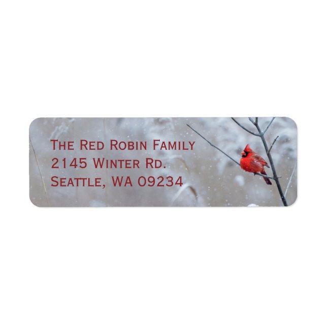 Red Robin in the Snow Christmas  (Front)