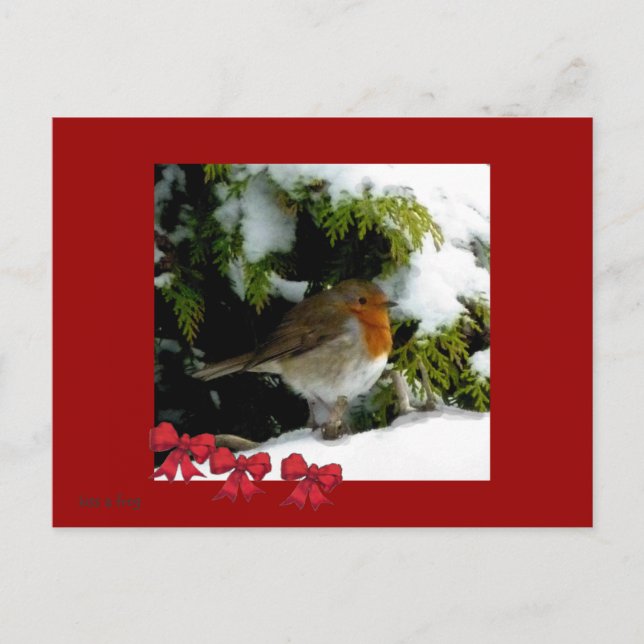 Red Robin Postcard (Front)