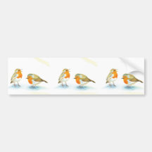 Red Robins in Winter    