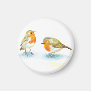 Red Robins in Winter  Magnet