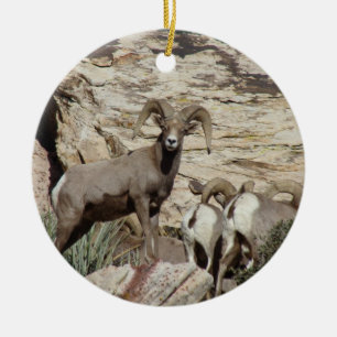 Red Rock Big Horn Sheep Ceramic Tree Decoration