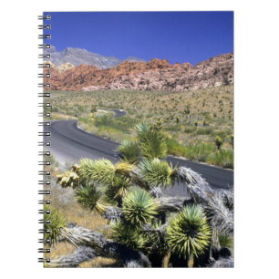 Red Rock Canyon National Conservation Area, Las Notebook