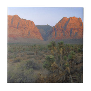 Red Rock Canyon National Conservation Area Tile