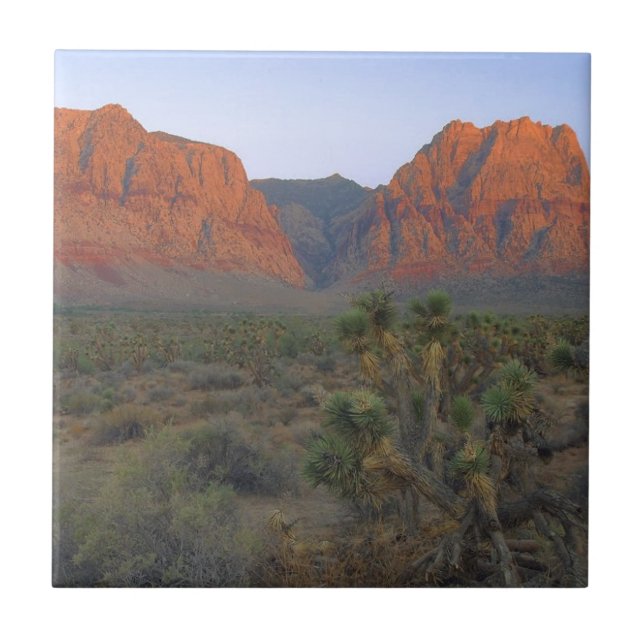 Red Rock Canyon National Conservation Area Tile (Front)