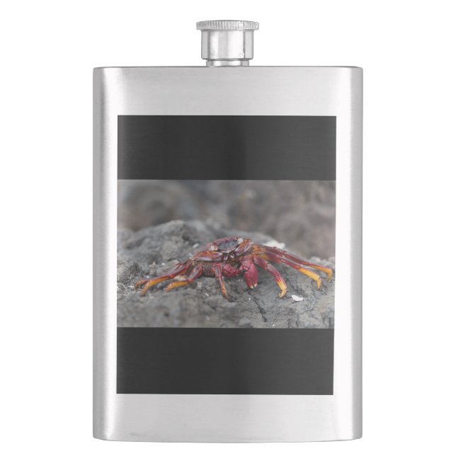 Red rock crab hip flask (Front)