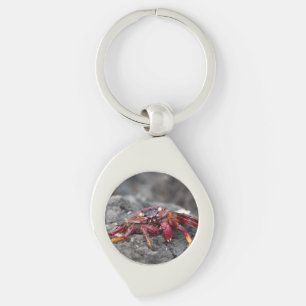 Red rock crab key ring