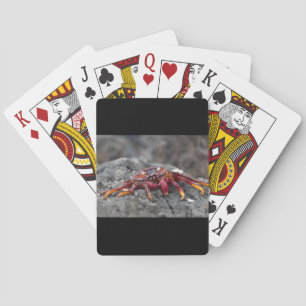 Red rock crab playing cards