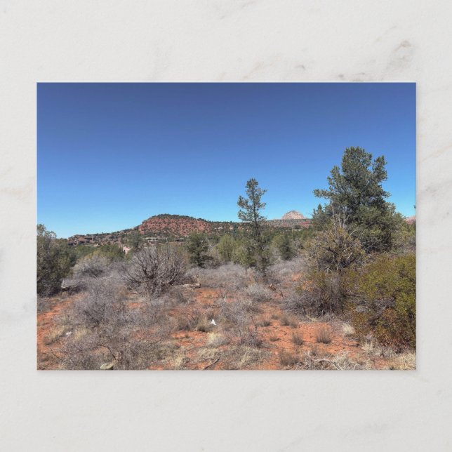 Red Rock Hills Desert Landscape Postcard (Front)
