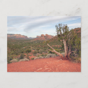 Red Rock State Park Holiday Postcard