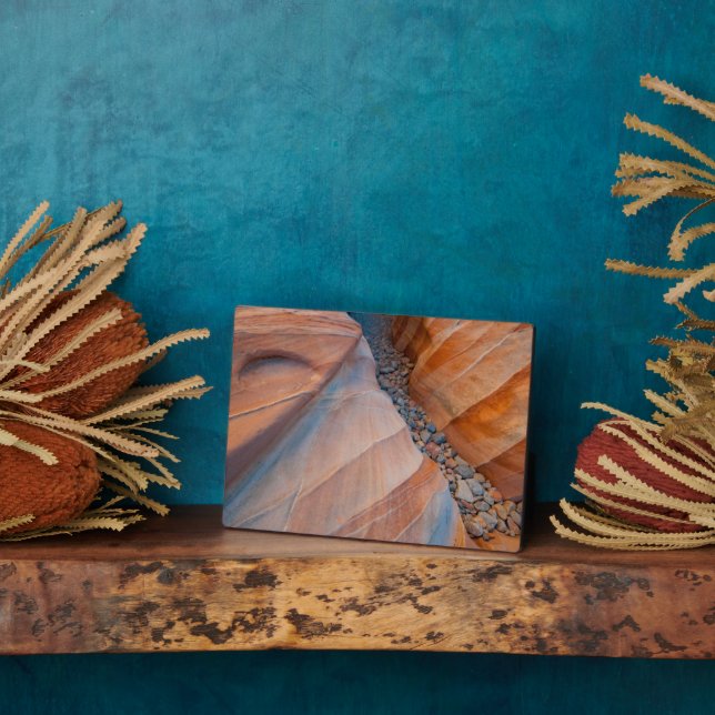 Red Rock Valley of Fire State Park Nevada Plaque (Side)