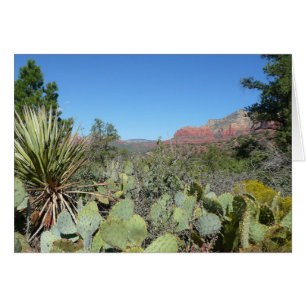Red Rocks and Cacti I